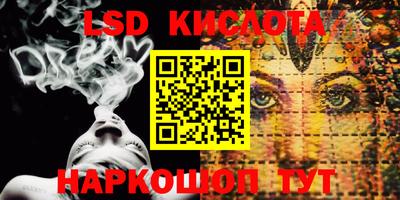 стаф Камышлов
