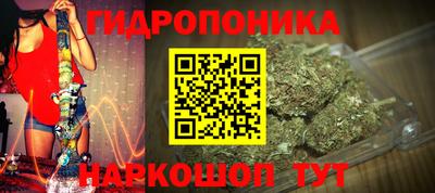 гашик Канаш
