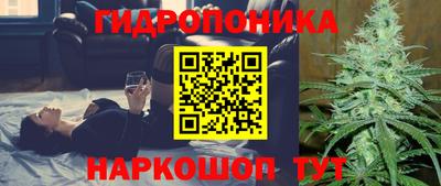 spice Кандалакша