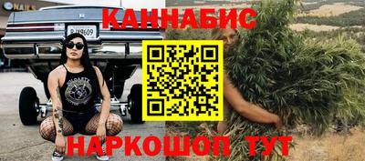 стаф Камышлов