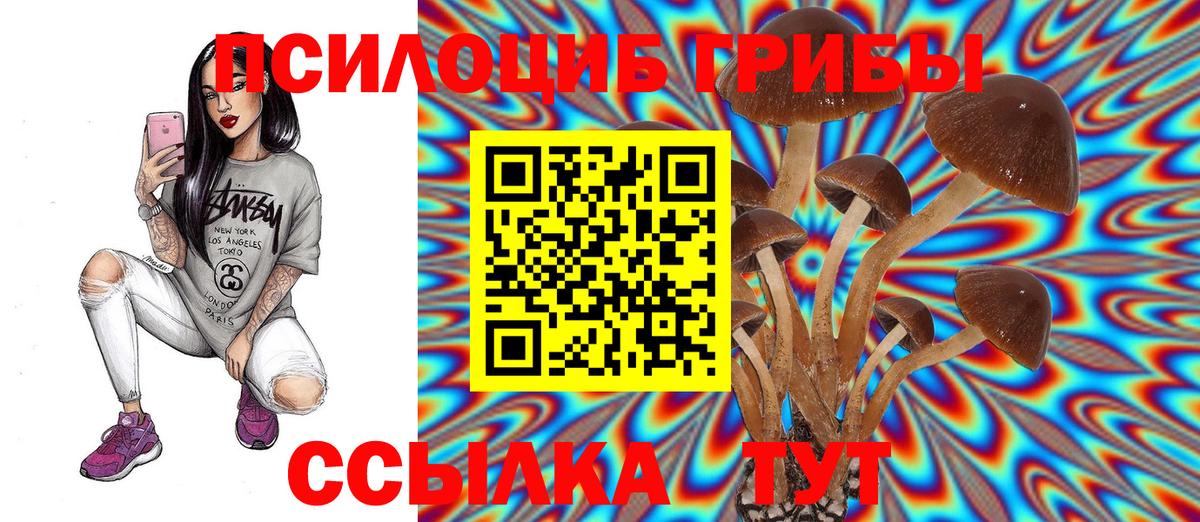 Тюмень  Галлюциногенные грибы мицелий  Вход с VPN 