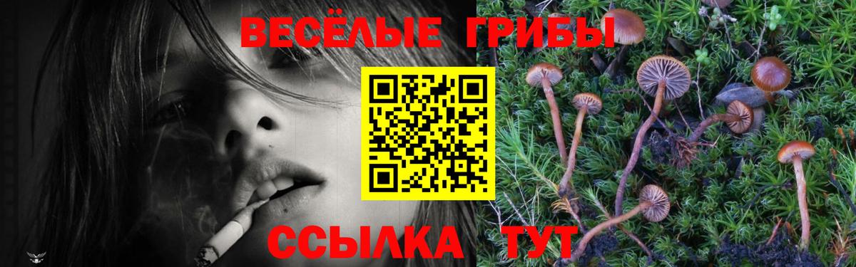 Псилоцибиновые грибы Psilocybine cubensis Тюмень